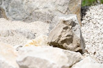 bilder_50.jpg